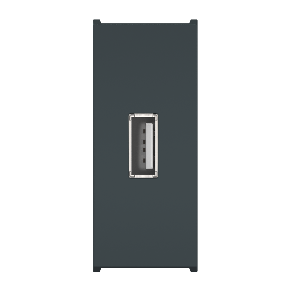 Встраиваемая розетка USB 2.0 тип А CADUCEUS ALING MODE для зарядки 1-го ...