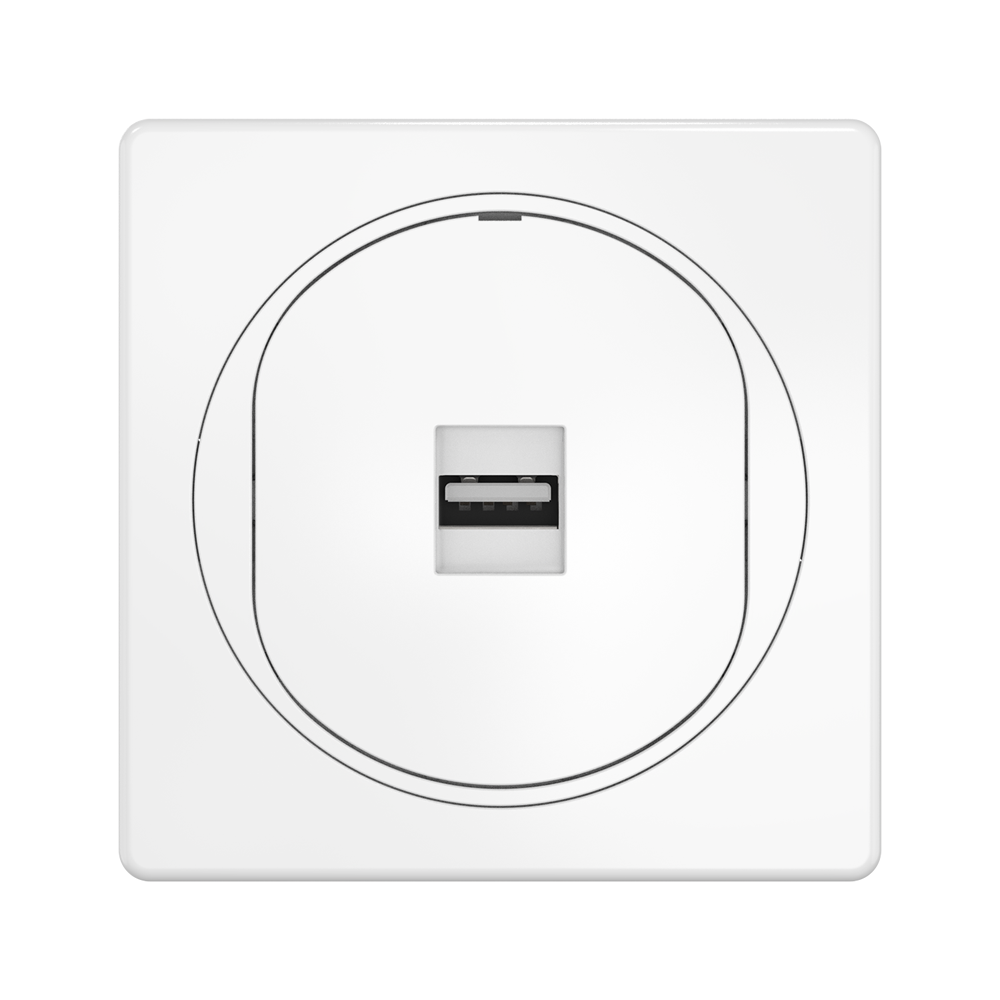 Розетка скрытой установки CADUCEUS ALING EON с модулем Keystone USB 2.0 ...